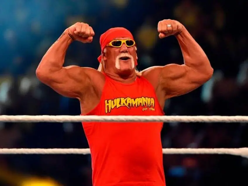 Jim Ross fa luce sul rapporto tra Vince McMahon e Hulk Hogan
